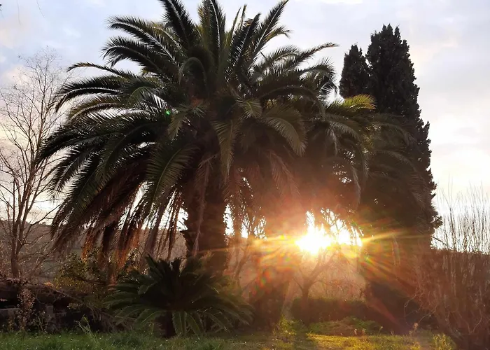 La Meriggia Agriturismo- Ampio Con Terrazza Esclusiva