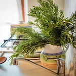 La Meriggia Agriturismo- Ampio Con Terrazza Esclusiva アパート アンコーナ