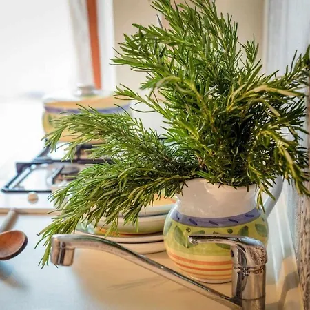 La Meriggia Agriturismo- Ampio Con Terrazza Esclusiva شقة أنكونا